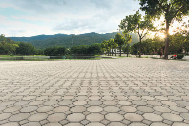 Best Residential Driveway Paver Services  in Lewisville, NC